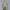 Nike Casual Hoody Pria gray photo 1