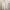 Polo Ralph Lauren Casual Formal shirt Pria white photo 1