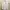 Polo Ralph Lauren Casual Formal Shirt Pria White