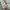thisisneverthat Vintage Streetwear Hoody Pria gray photo 4