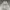 Thisisneverthat Vintage Streetwear Hoody Pria Gray
