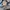 MLB Streetwear Fleece Pria multicolor photo 6
