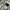 MLB Streetwear Fleece Pria multicolor photo 3