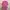 Polo Ralph Lauren Casual Sweater Wanita Pink