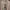 Polo Ralph Lauren Casual Sweater Wanita tan brown photo 4