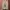 Polo Ralph Lauren Casual Sweater Wanita tan brown photo 3