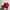 MLB Luxury Hat Pria red black photo 2