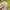 Furla Luxury Handbag Wanita Multicolor