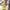 Furla Luxury Handbag Wanita multicolor photo 5