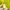 Furla Luxury Handbag Wanita multicolor photo 4
