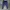 Nike Streetwear Y2K Tracksuit Pria multicolor navy photo 6