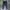 Nike Streetwear Y2K Tracksuit Pria Multicolor Navy