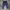 Nike Streetwear Y2K Tracksuit Pria multicolor navy photo 4