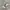 Adidas Vintage Casual Casual shoe Pria green gray photo 2