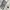 Skater Casual Jumper Pria white gray photo 5