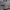 Star Wars Casual Hoody Pria gray photo 3