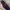 Adidas Streetwear Sportswear Tracksuit Pria navy orange photo 1