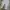 Nike Streetwear Sportswear Tracksuit Pria white photo 4