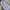 Nike Streetwear Sportswear Tracksuit Pria white photo 1