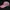 Helly Hansen Biker Sportswear Hat Wanita pink photo 2