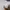 Carhartt Vintage Pria gray photo 4