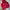 GAP Streetwear Casual Hoody Pria red black photo 1