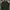 Uniqlo Casual Sweater Pria Green