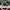 GAP Casual Sweater Pria burgundy white photo 3
