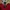 Spao Y2K Sweater Pria white red photo 3