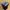 Dickies Casual Formal pants Pria multicolor photo 4