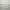 Diesel Luxury Minimalist T-shirt Pria white photo 6