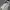 Star Wars Streetwear Casual T-shirt Kids gray photo 5