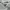 Star Wars Streetwear Casual T-shirt Kids gray photo 4