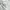 Champion Minimalist Hoody Pria white photo 4