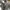 Adidas Streetwear Skater Sweatpants & Joggers Pria white gray photo 6