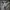 ZARA Streetwear Casual Hoody Kids khaki photo 4