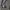 ZARA Streetwear Casual Hoody Kids khaki photo 3