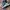 New Balance Streetwear Sportswear Sneakers Pria multicolor gray photo 4