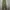 Dickies Vintage Y2K Formal pants Pria tan photo 4