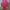 H&M Luxury Casual Vest Wanita pink photo 1