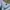 H&M Y2K Minimalist Crop top Wanita blue photo 2