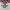 In the Attic Streetwear Casual Casual shirt Pria multicolor photo 5