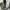 Uniqlo Streetwear Minimalist Casual pants Pria green photo 2