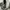 Uniqlo Streetwear Minimalist Casual Pants Pria Green