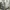 Adidas Streetwear Pria cream photo 2