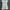 Hiroko Koshino Indie Casual Midi dress Wanita white photo 4