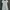 Hiroko Koshino Indie Casual Midi Dress Wanita White