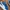 Puma Streetwear Sneakers Pria white blue photo 2