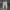 Nike Sportswear Futurist Sweatpants & Joggers Pria multicolor gray photo 2