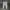 Nike Sportswear Futurist Sweatpants & Joggers Pria Multicolor Gray